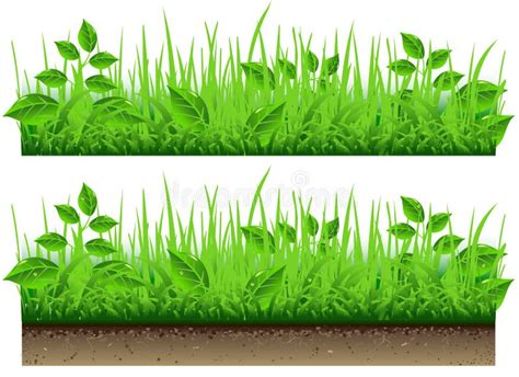 Grass Border Isolated on White Background Stock Vector - Illustration of ground, white: 29569520