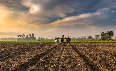 India’s Biggest Challenge: The Future of Farming | GreenStories