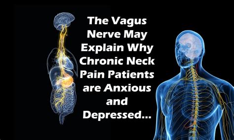 The Vagus Nerve, Neck Pain, Headaches, and Anxiety | Regenexx Blog