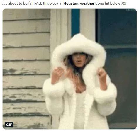 Photos: Texas weather memes