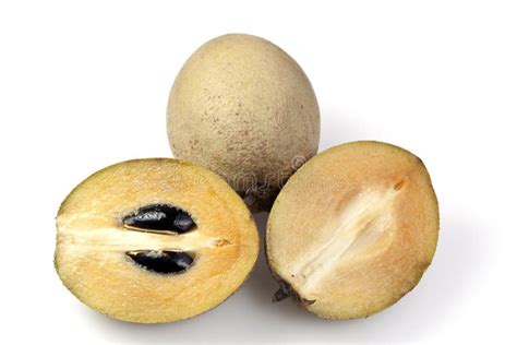 Sapodilla or Sapoche (Manilkara Zapota) Stock Image - Image of ripe ...