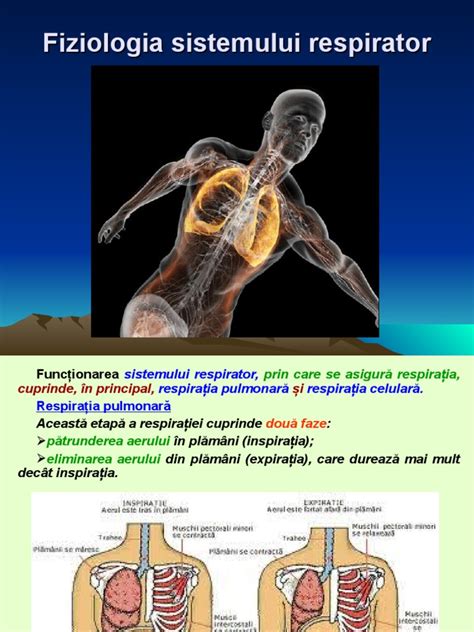 Sistemul Respirator/aparatul Respirator | PDF