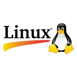 Diseño PNG Y SVG De Logo De Linux Para Camisetas