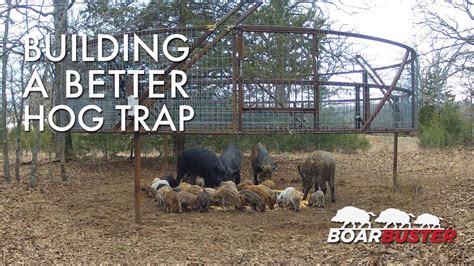 Introducing BoarBuster: A Better Hog Trapping System | Feral Hog Trap - YouTube