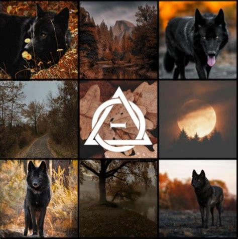 Therian mood board | Werewolf aesthetic, Mood board, Black wolf