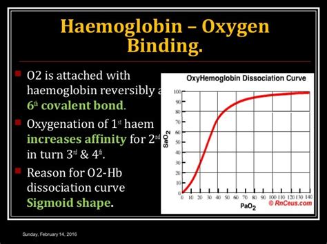 Haemoglobin