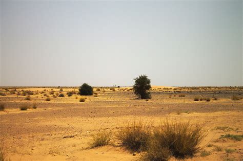 The Great Green Wall of Africa could fight desertification and poverty