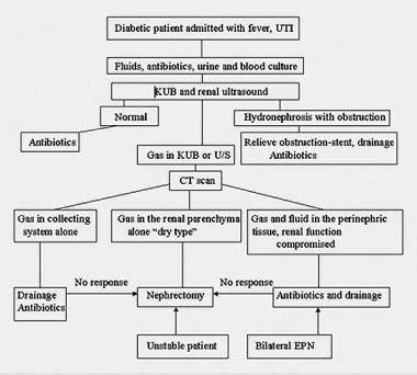 Emphysematous Pyelonephritis