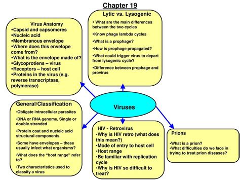 Prophage Vs Provirus What S The Difference - vrogue.co