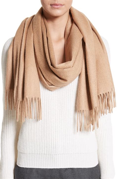 Max Mara Camel Hair Scarf | Nordstrom