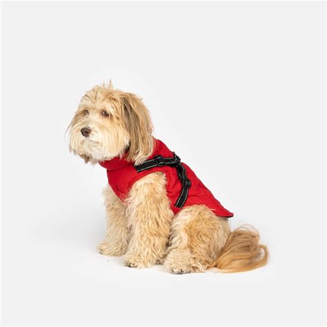 Quilted Dog Jacket With Built-In Harness - Red – Silver Paw