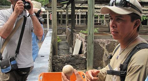 The GypsyNesters | The Giant Tortoise Breeding Center of The Galápagos Islands