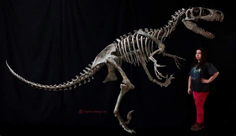 [Fossil Pic]Utahraptor skeleton finally unveiled. : r/Dinosaurs