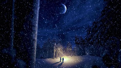 Download Winter Night Forest In Moonlight Wallpaper | Wallpapers.com