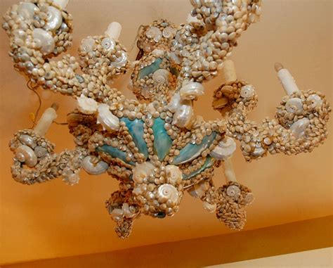 Unique Seashell Chandelier at 1stDibs