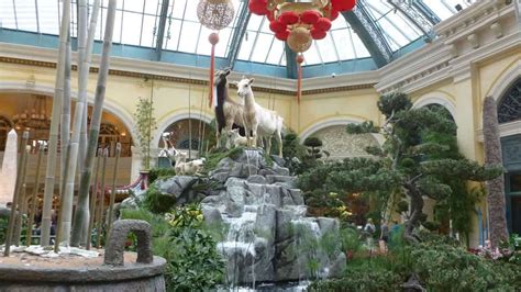 Bellagio Conservatory and Botanical Gardens: Videos and Photo Gallery