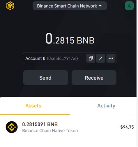 The Beginner's Guide to The Binance Smart Chain Wallet