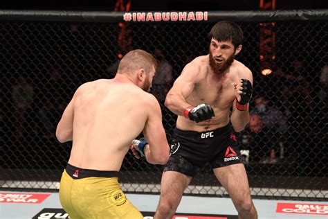 Magomed Ankalaev vs. Johnny Walker - Read MMA