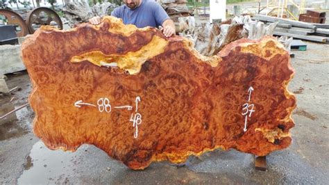 What is Burl Wood? | Explaining Burl Wood | Redwood Burl Inc.