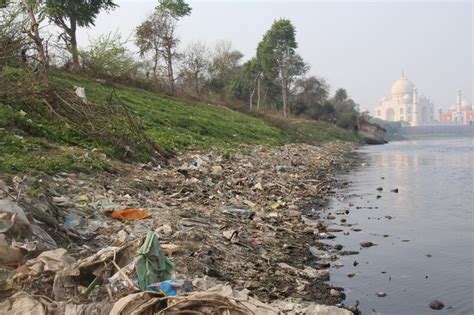 Healing waters: India's Ganges River cleanses itself during virus shutdown - The Mainichi