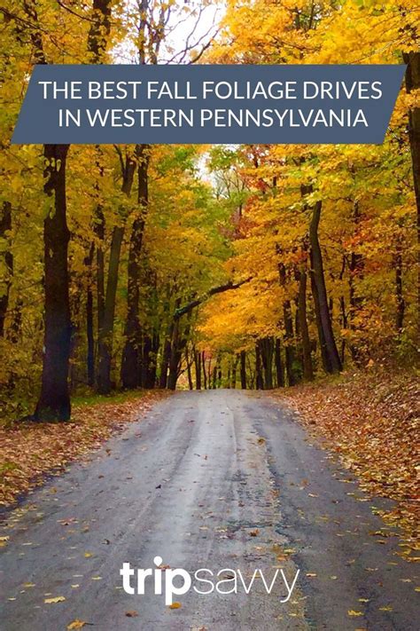 Pennsylvania Travel, Autumn Drives, Covered Bridges, Fall Foliage ...