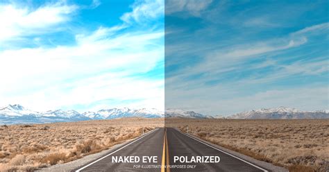 Polarized or Photochromic Sunglasses for Cycling: Yes or No?