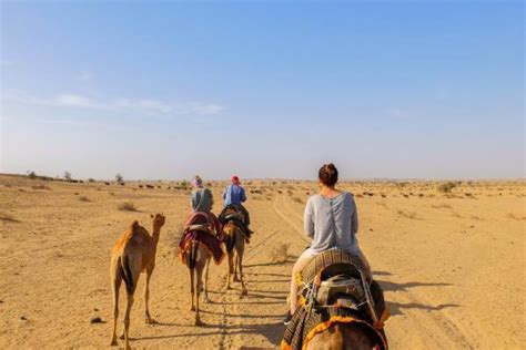 Jodhpur City Tour - Jodhpur is India's Blue City - Travel Rajasthan Blog | Rajasthan Travel Blog