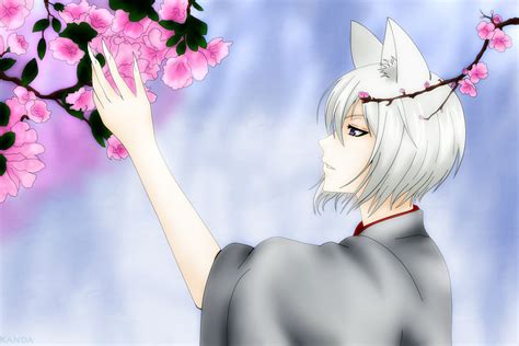 Kamisama Kiss - Tomoe Wallpaper (36627426) - Fanpop