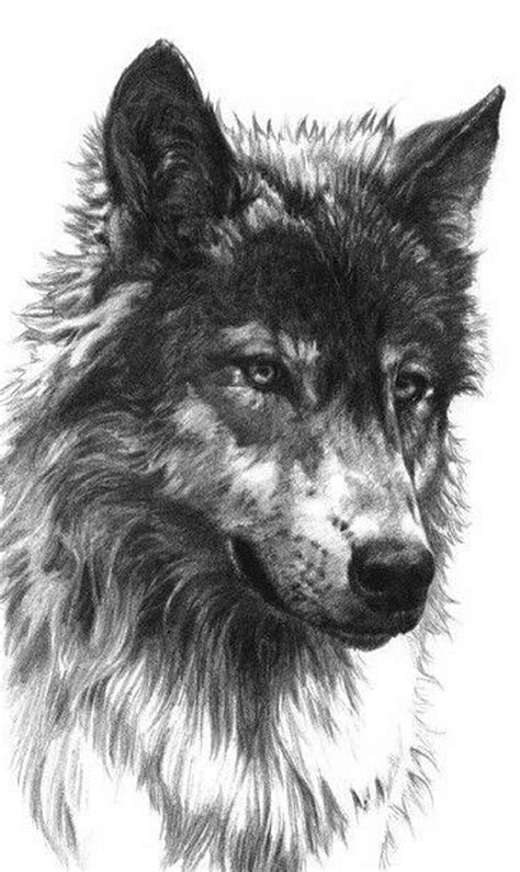 Lone Wolf | Wolf tattoo design, Wolf art, Wolf tattoos