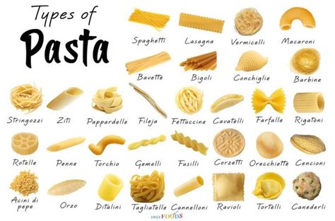 32 Different Types of Pasta with Pictures | Pasta types, Pasta noodle types, Pasta shapes