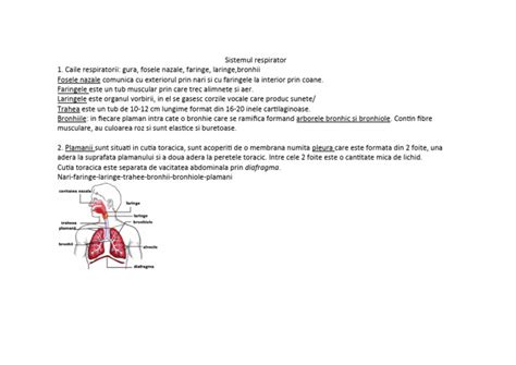 Sistemul Respirator | PDF