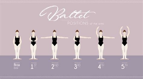 18,513 Ballet Positions Royalty-Free Images, Stock Photos & Pictures | Shutterstock