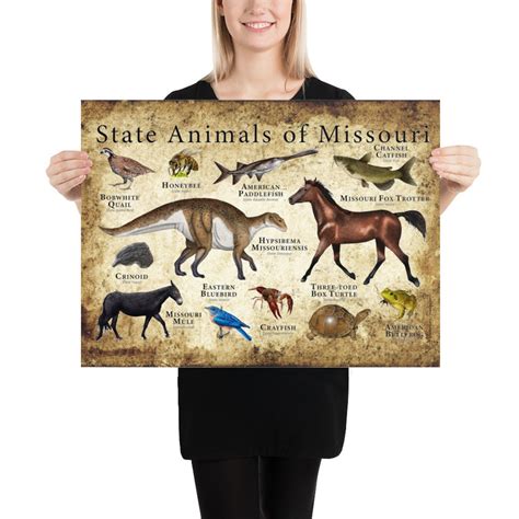 Missouri State Animals Poster Print - Etsy