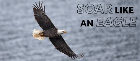 Soar like an eagle - Tees Valley Community Church