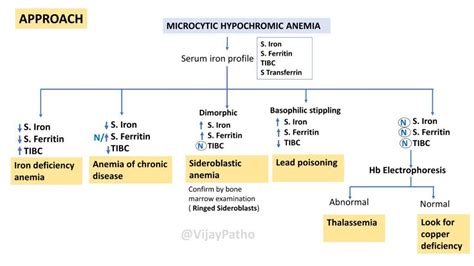 Microcytic Hypochromic Anemia: Causes and Diagnosis - Pathology Made Simple - verloop.io