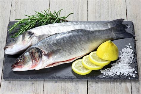 European seabass stock image. Image of delicious, eating - 67673945