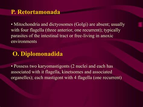 PPT - Chapter 6 Other Flagellated Protozoa: Diplomonadida and Trichomonadida PowerPoint ...