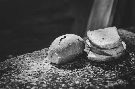 Black and white photo of bread free image download