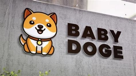 BabyDoge แซงหน้าชนะ Shiba Inu ด้วยตัวเลขผู้ถือ 1.2 ล้าน Address หลังเติบโตขึ้นกว่า 2 เท่า - Siam ...