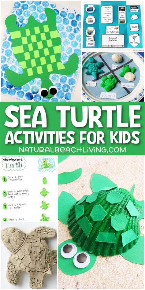 25+ Sea Turtle Crafts and Activities - Natural Beach Living