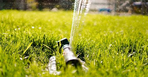 Lawn Sprinkler Types and How to Choose the Best Sprinkler | Lawn Chick