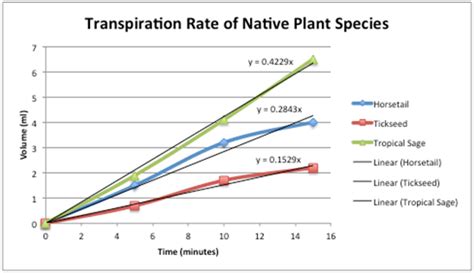 Just Breathe Green: Measuring Transpiration Rates - Activity ...