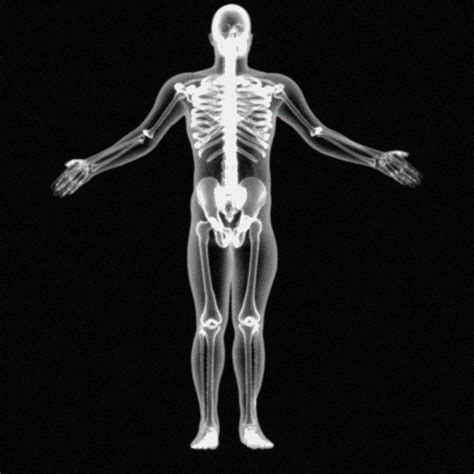 X-ray Skeleton Xray Body Human Obj