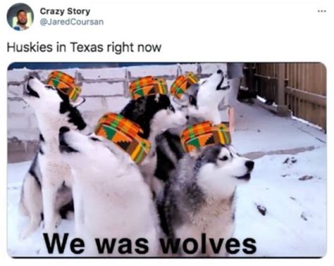 Memes And Tweets About Texas In Snow | Fun