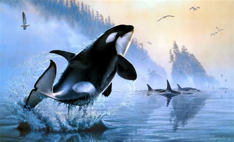 Download Sea Life Painting Animal Orca HD Wallpaper by Lee Kromschroeder