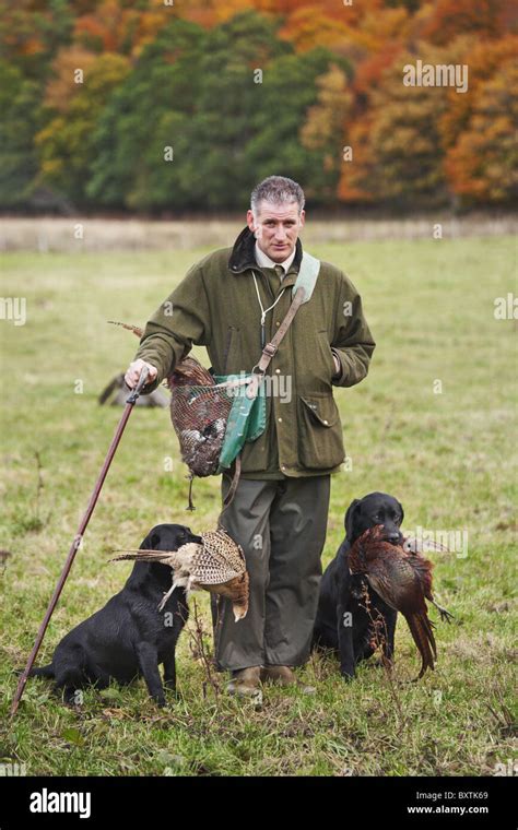 Game keeper with his 2 retriever hunting dogs in Scotland Stock Photo - Alamy