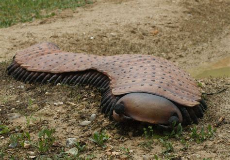 Giant Millipede Prehistoric