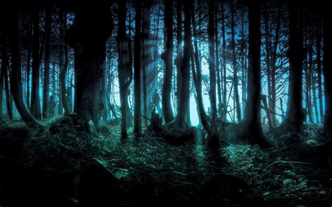 Dark Forest Wallpaper Widescreen