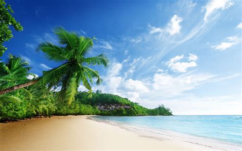 Tropical Beach Pictures Wallpapers - Wallpaper Cave