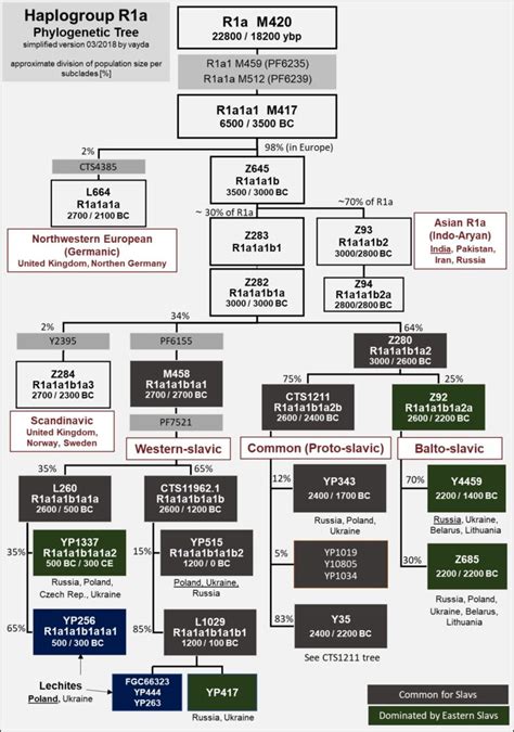 Haplogroup R1a - Slavic haplogroup R1a and I2a-Dinaric/Slavic